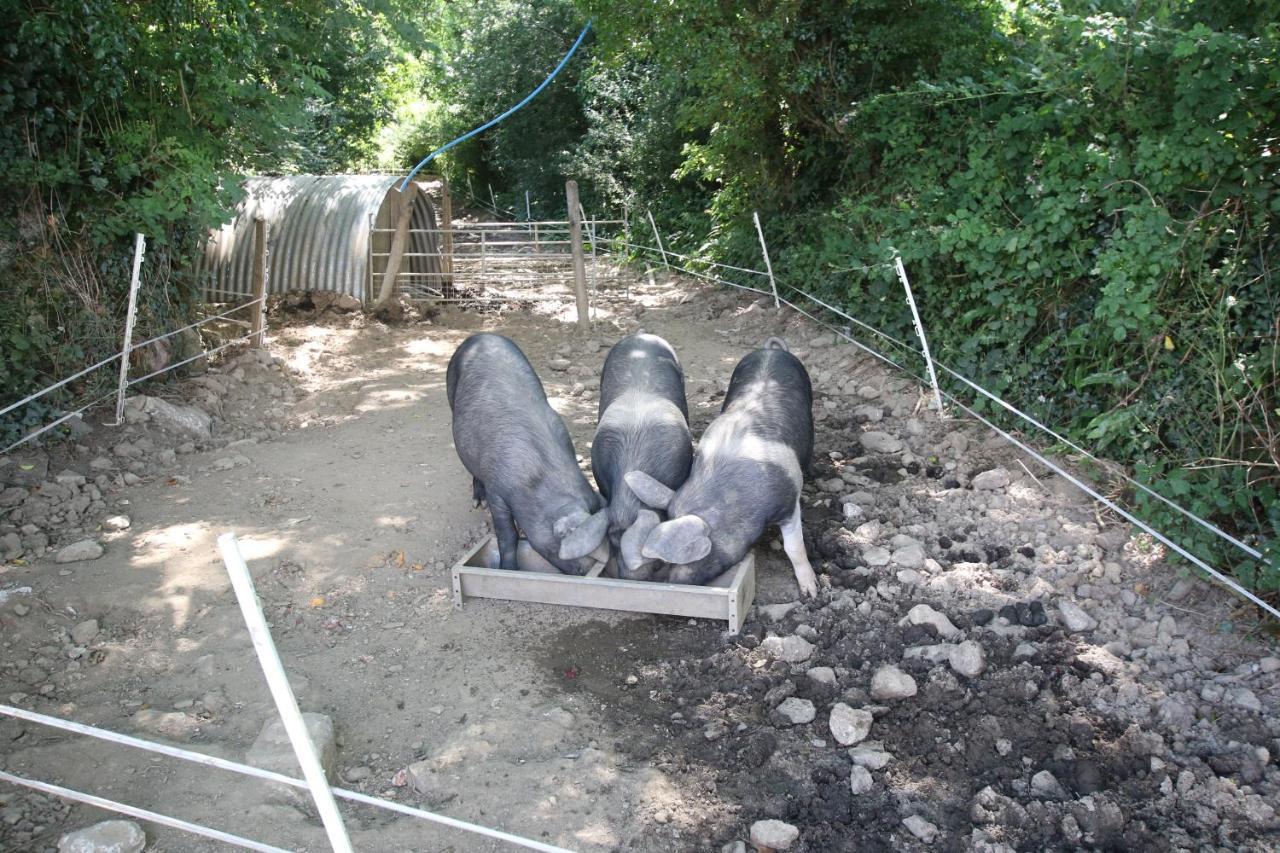 Chy Un Lur Rural Cottage Truro Zewnętrze zdjęcie